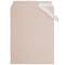 JAM Paper 8.93" x 11.25" Self Adhesive Closure Cello Sleeves, 100ct.